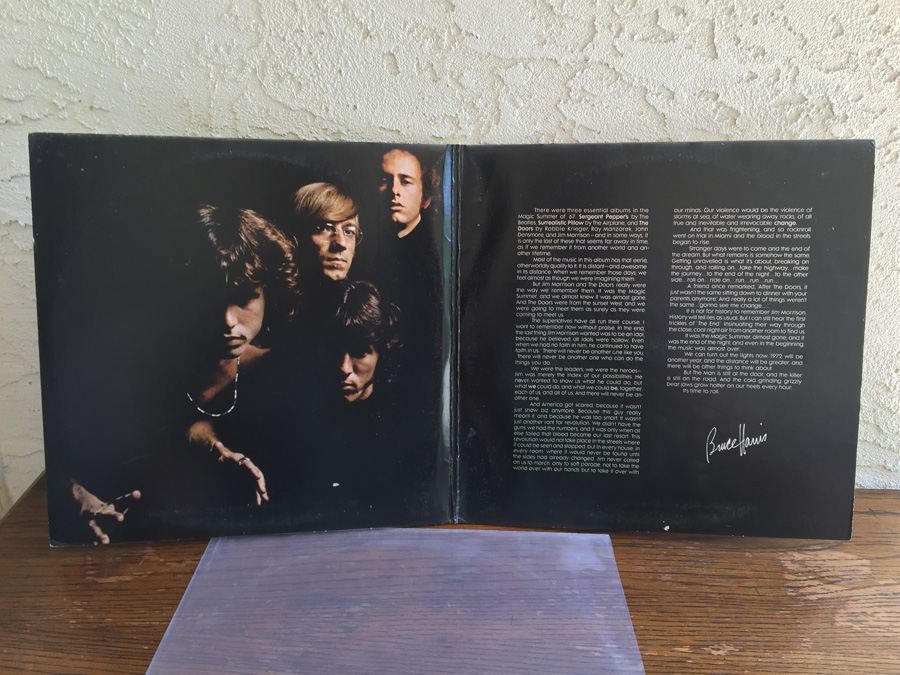 Doors, The ‎- Weird Scenes Inside The Gold Mine - Elektra ‎- 8E-6001 -  2 × Vinyl - Compilation  [Photo 3]