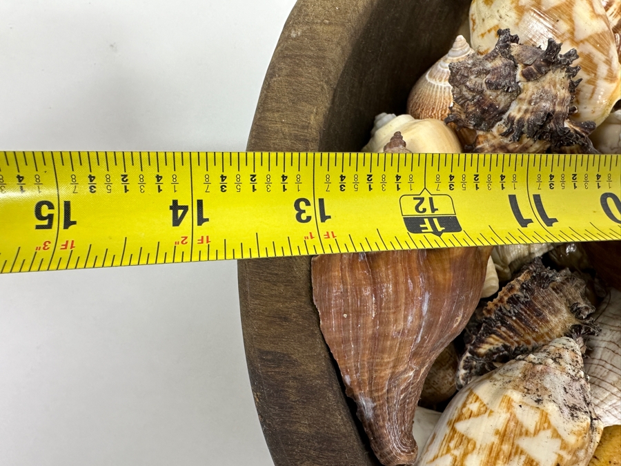 Just Added - Wooden Bowl 13.5W Filled With Organic Seashells [Photo 6]
