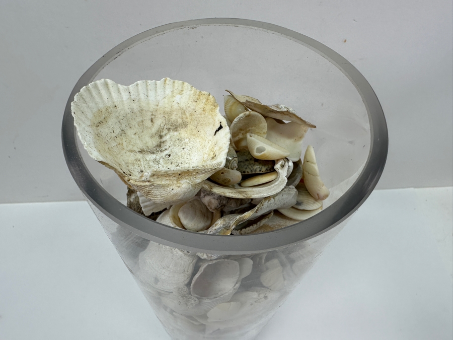 Just Added - Bubble Glass Vase Filled With Organic Seashells 14H [Photo 6]