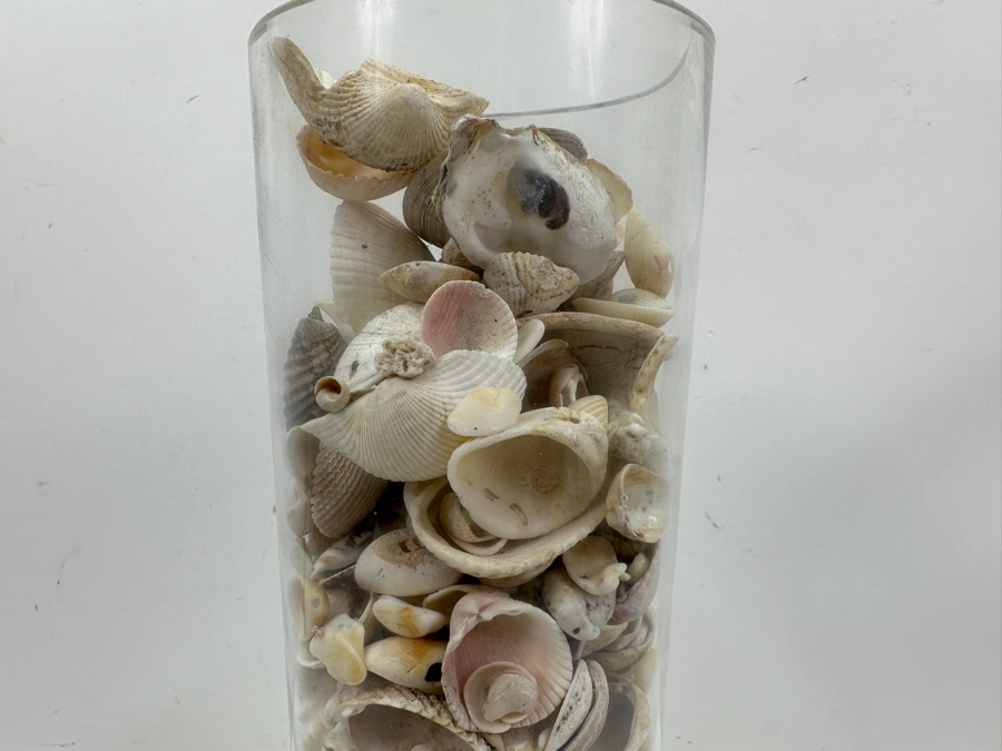 Just Added - Bubble Glass Vase Filled With Organic Seashells 14H [Photo 5]