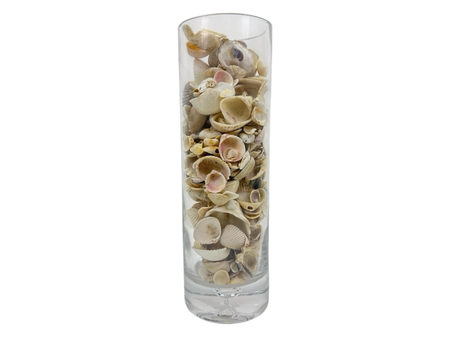 Just Added - Bubble Glass Vase Filled With Organic Seashells 14H