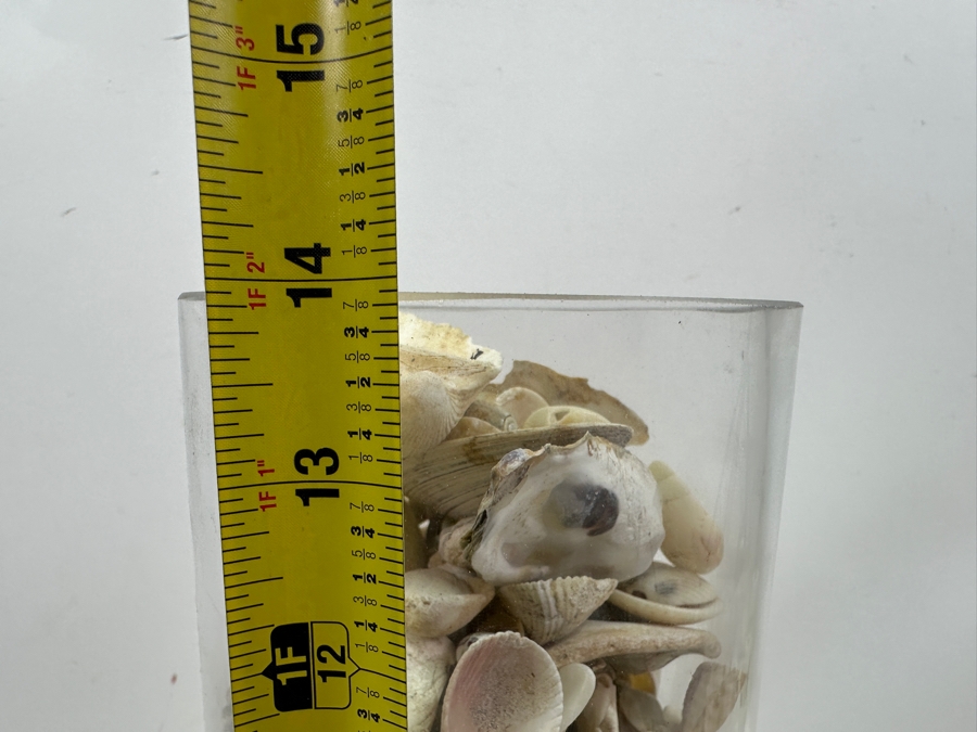 Just Added - Bubble Glass Vase Filled With Organic Seashells 14H [Photo 7]