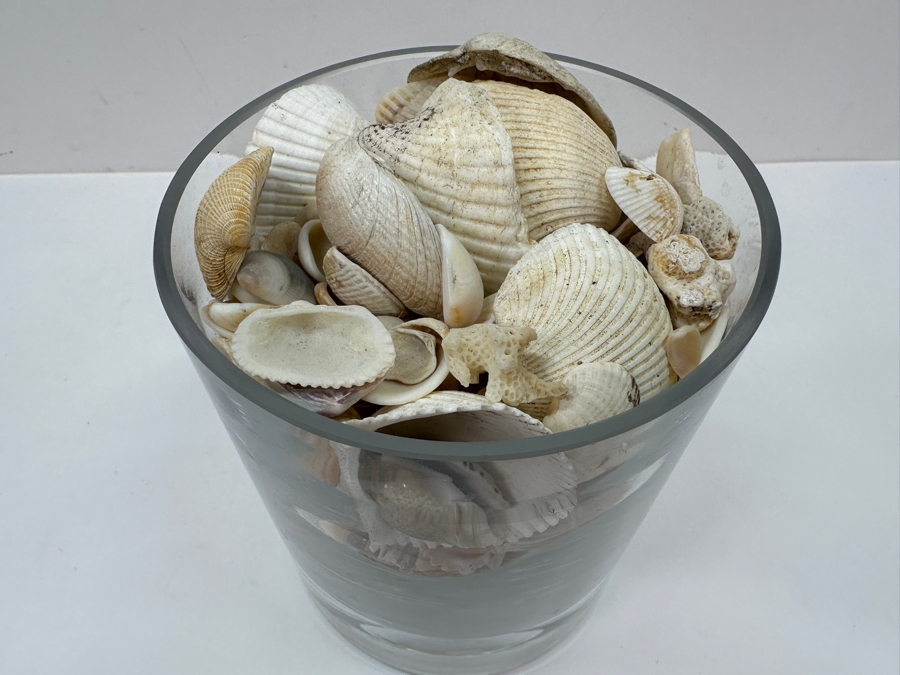 Just Added - Bubble Glass Vase Filled With Organic Seashells 6H [Photo 2]