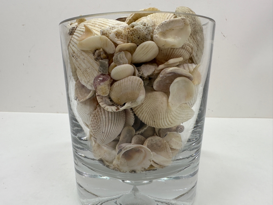Just Added - Bubble Glass Vase Filled With Organic Seashells 6H [Photo 4]