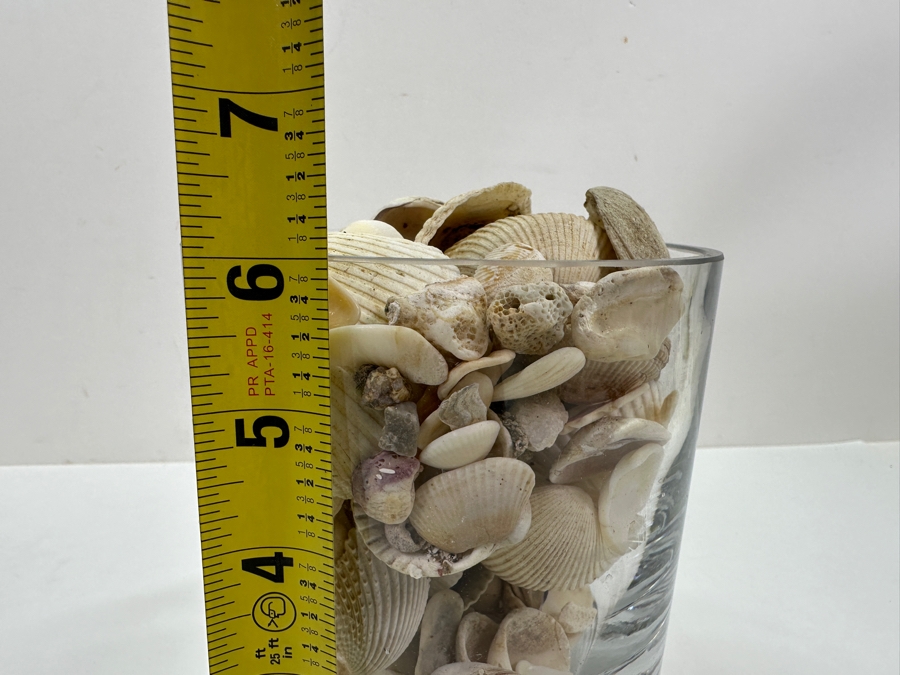 Just Added - Bubble Glass Vase Filled With Organic Seashells 6H [Photo 5]
