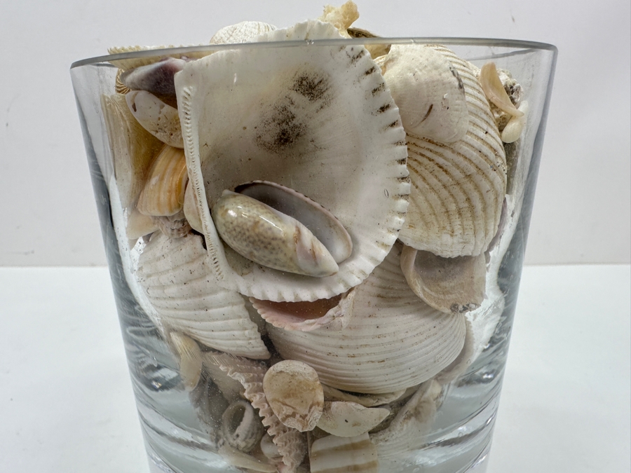 Just Added - Bubble Glass Vase Filled With Organic Seashells 6H [Photo 3]