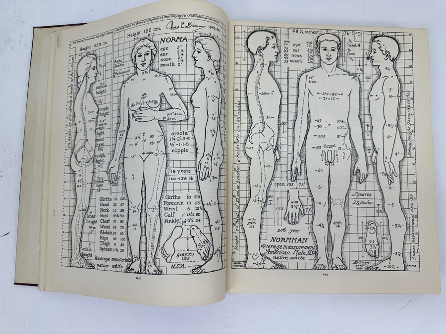 Just Added - Vintage 1949 Second Edition Hardcover Book Human Sex Anatomy By Robert Latou Dickinson A Topographical Hand Atlas [Photo 5]