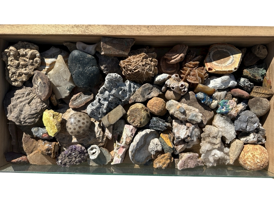 Just Added - Collection Of Various Rocks, Minerals, Crystals & Fossils In Wooden Display Box With Glass Top - See Photos