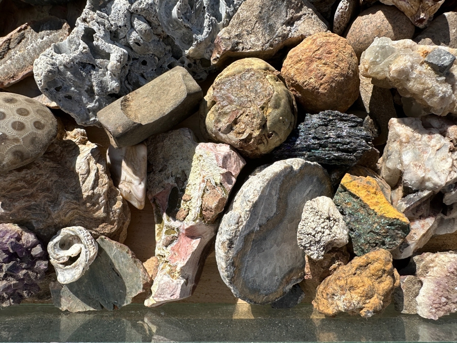 Just Added - Collection Of Various Rocks, Minerals, Crystals & Fossils In Wooden Display Box With Glass Top - See Photos [Photo 7]