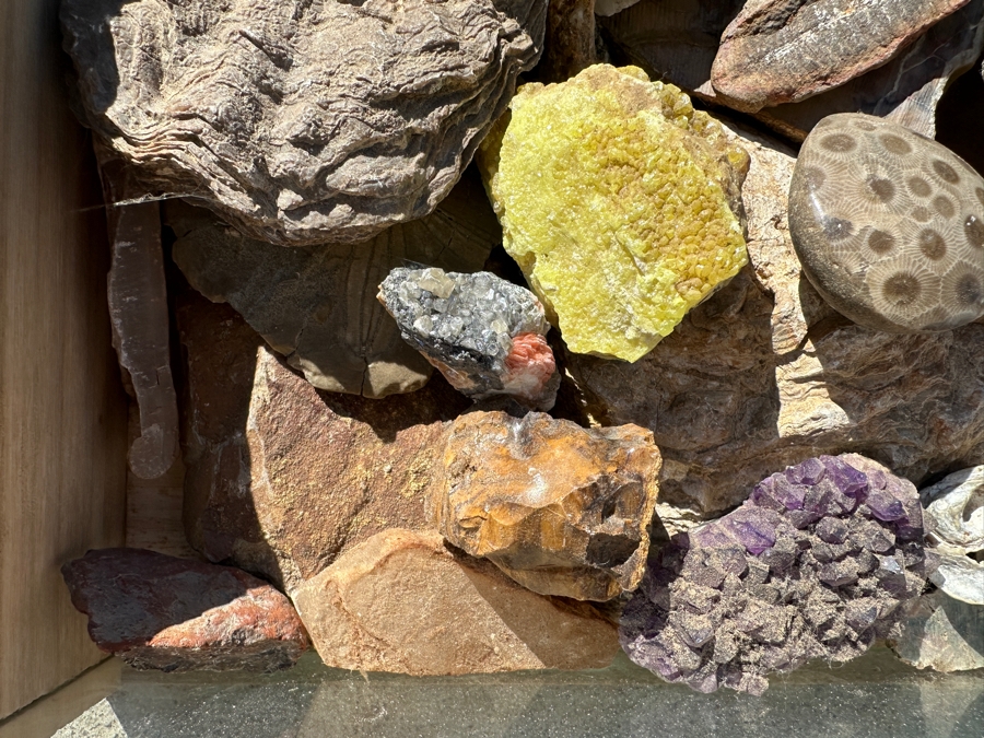 Just Added - Collection Of Various Rocks, Minerals, Crystals & Fossils In Wooden Display Box With Glass Top - See Photos [Photo 5]