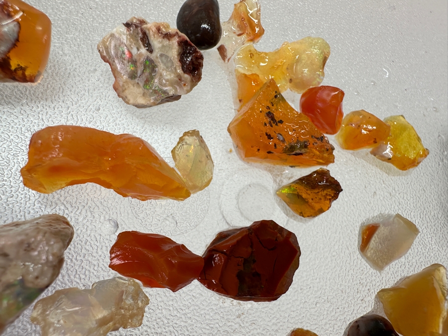 Just Added - Collection Of Opalised Stones [Photo 5]