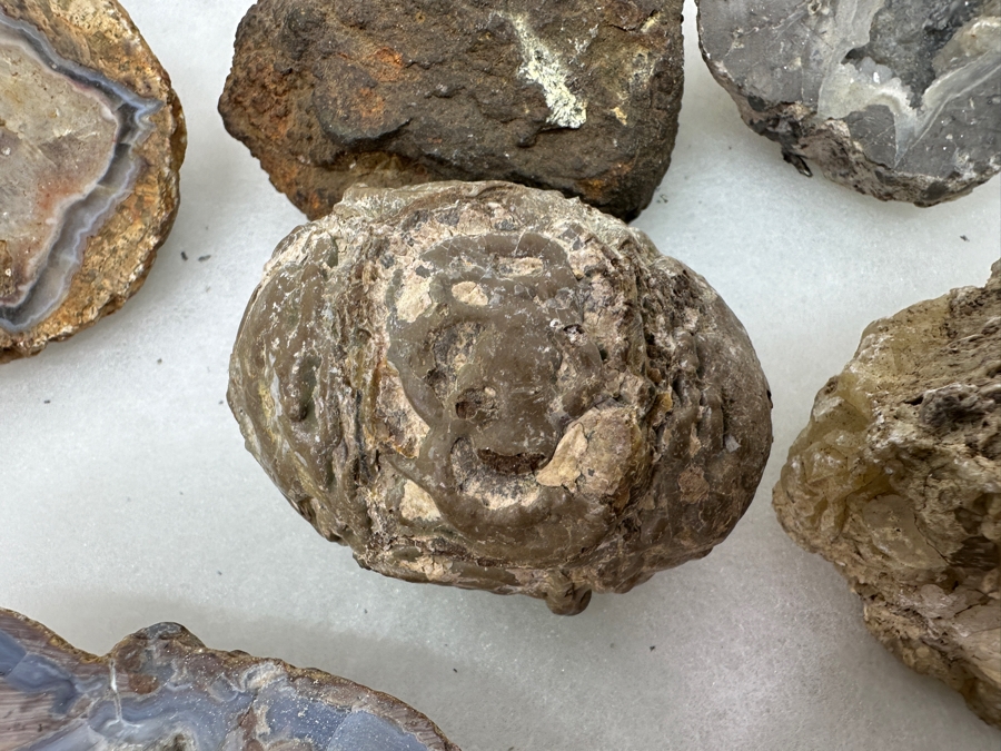 Just Added - Collection Of Various Stones & Geodes - See Photos [Photo 19]