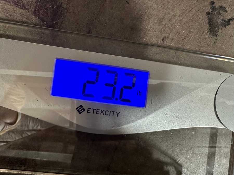 Just Added - Large Acrylic Jar Filled With Various Stones, Crystals & Fossils 8W X 5D X 13H Weighs 23.2lbs - See Photos [Photo 32]