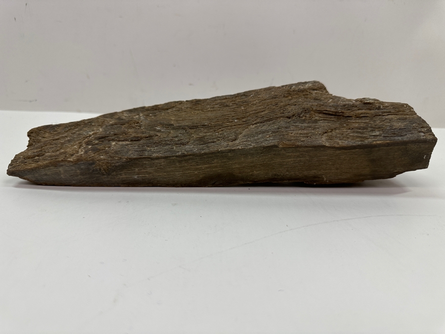 Just Added - Piece Of Petrified Wood 11W X 2D X 3H [Photo 4]
