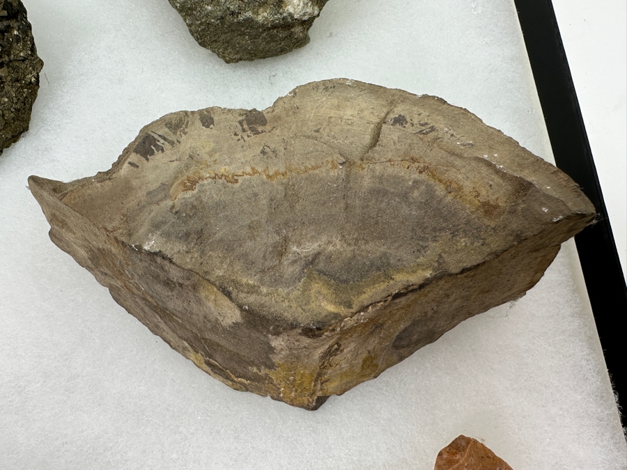 Just Added - Collection Of Various Rocks, Smoky Quartz, Amethyst, Petrified Wood, Opal Stones, Geodes, Malachite - See Photos [Photo 27]