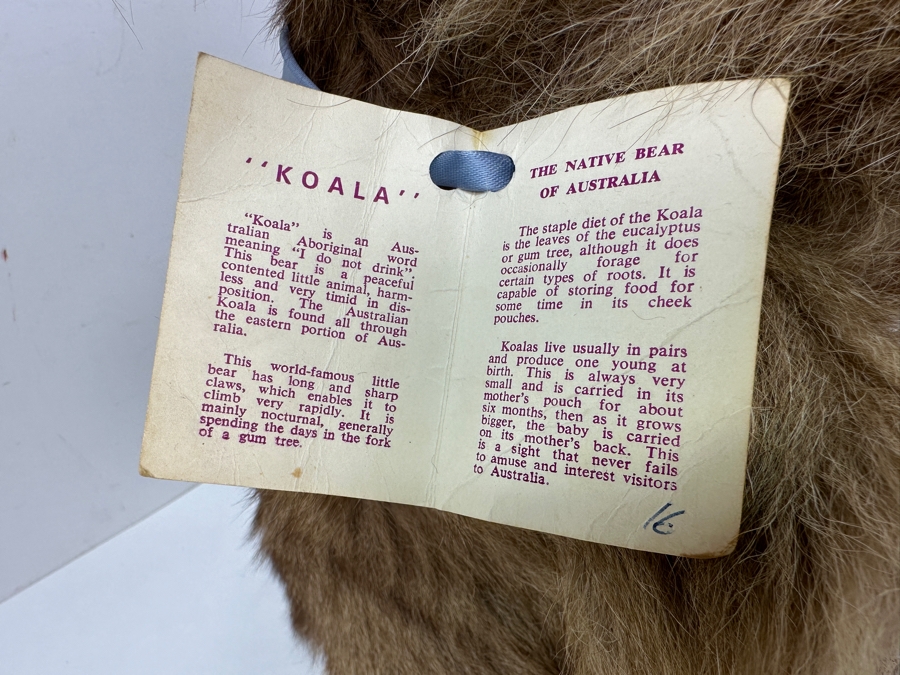 Koala Bear Made In Sydney Australia By Lina Products 16'H [Photo 4]