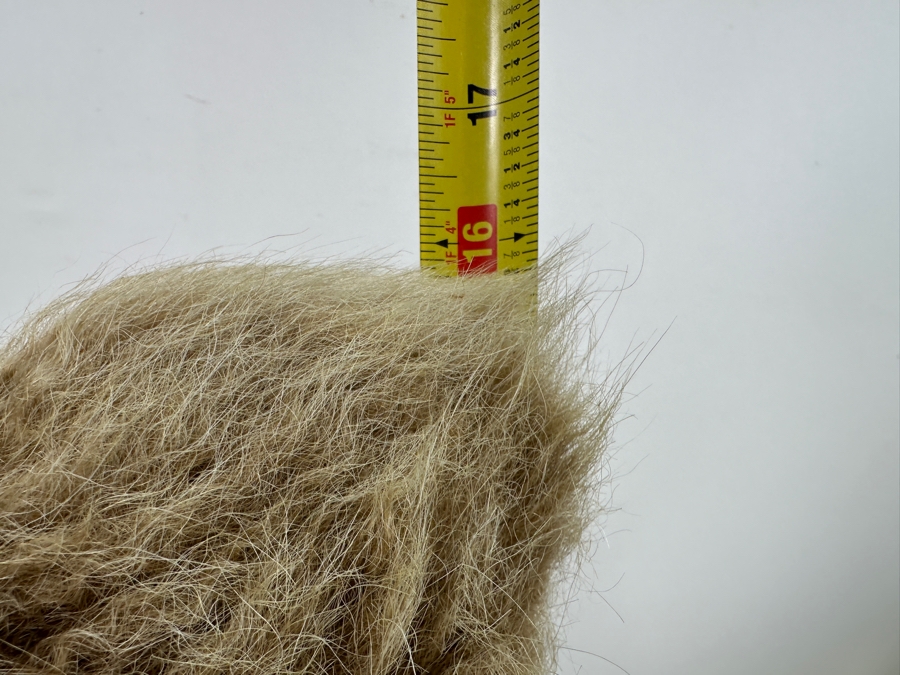 Koala Bear Made In Sydney Australia By Lina Products 16'H [Photo 9]