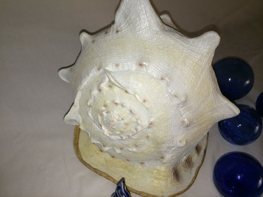 Nautical Lot [Photo 13]