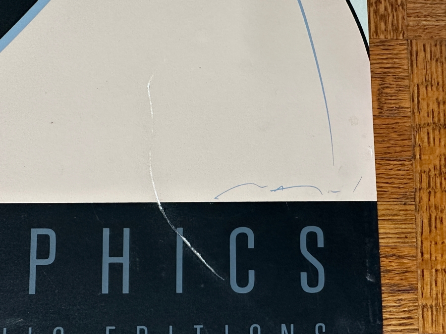 Patrick Nagel 'Sushi Girl' Graphic Print By Piedmont Graphics Commemorative No. 3 Published By Mirage Editions 1984 Dumas 24 X 36 [Photo 7]