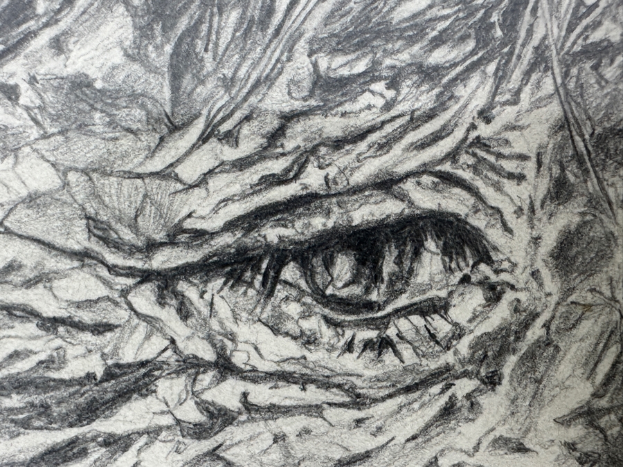 Original Pencil Portrait Drawing On Paper Signed Lower Left Patella 12 X 18 Framed 18 X 24 [Photo 6]