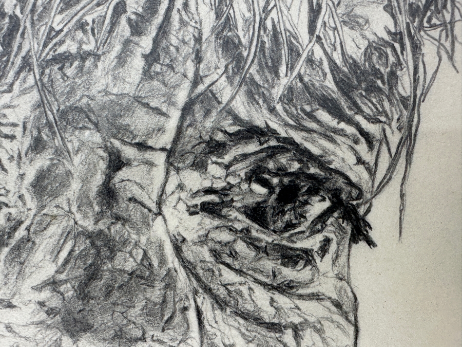 Original Pencil Portrait Drawing On Paper Signed Lower Left Patella 12 X 18 Framed 18 X 24 [Photo 7]