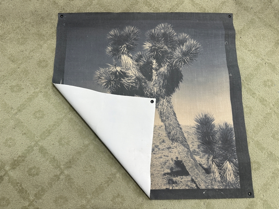 Vintage Desert Scene Canvas Print 44.5'W X 45'H [Photo 7]