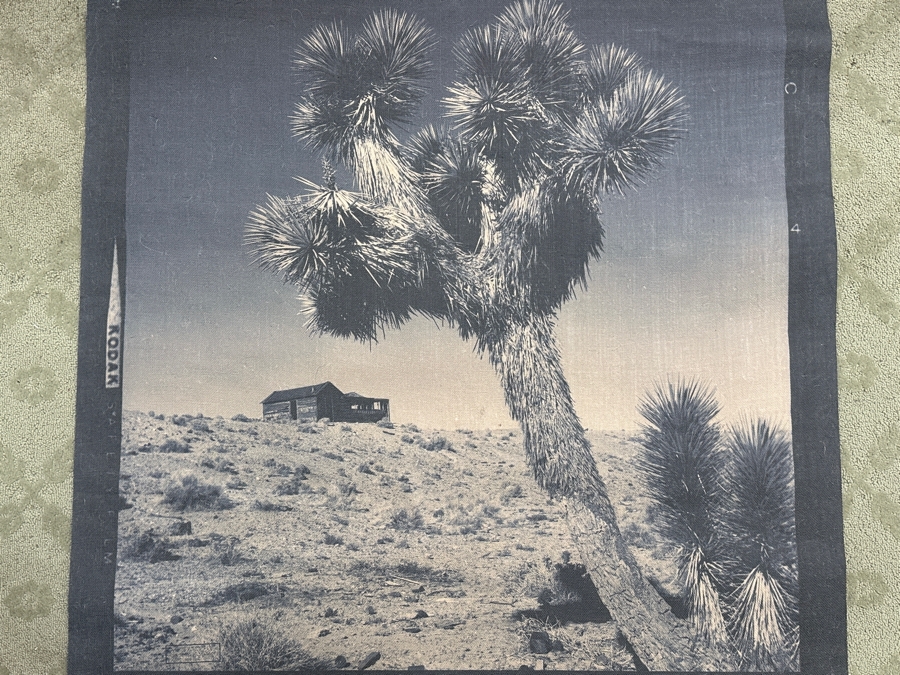 Vintage Desert Scene Canvas Print 44.5'W X 45'H [Photo 2]