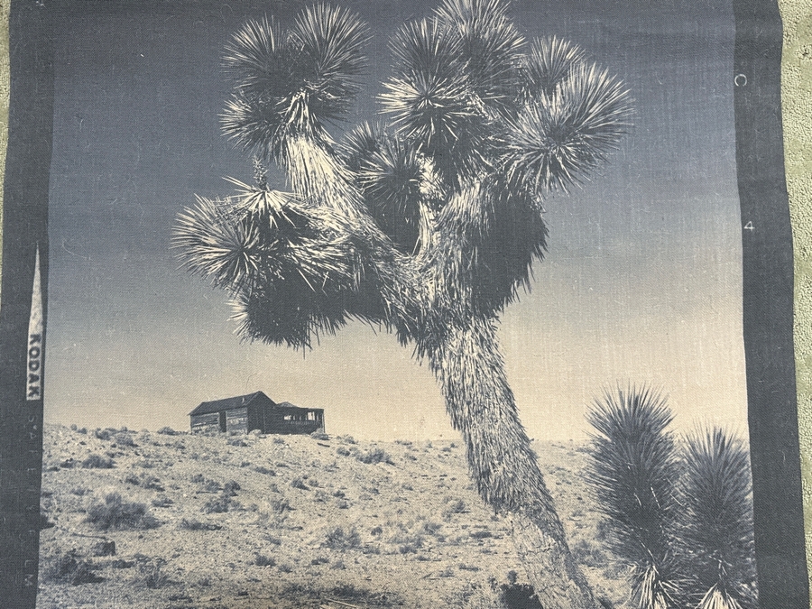 Vintage Desert Scene Canvas Print 44.5'W X 45'H [Photo 3]