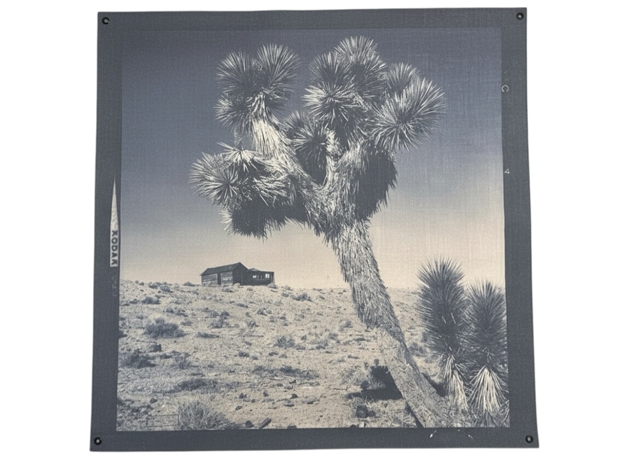 Vintage Desert Scene Canvas Print 44.5'W X 45'H