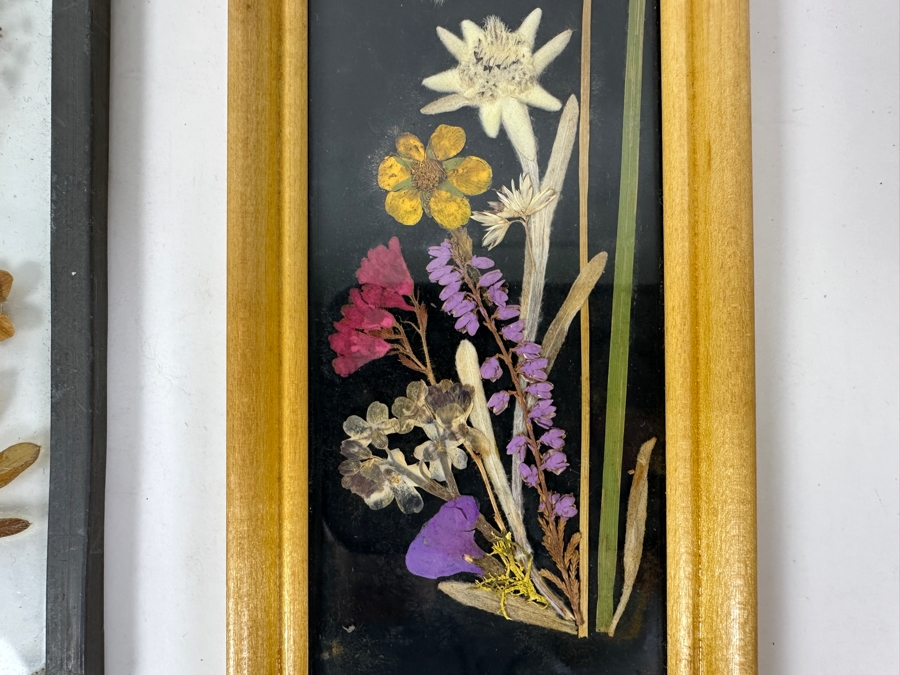 Just Added - Pair Of Framed Pressed Flower Arrangements Botanical Wall Artwork 6.5'H [Photo 2]
