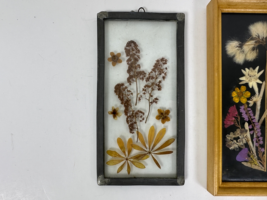 Just Added - Pair Of Framed Pressed Flower Arrangements Botanical Wall Artwork 6.5'H [Photo 4]