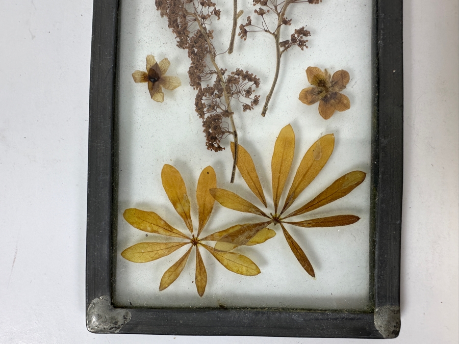 Just Added - Pair Of Framed Pressed Flower Arrangements Botanical Wall Artwork 6.5'H [Photo 5]
