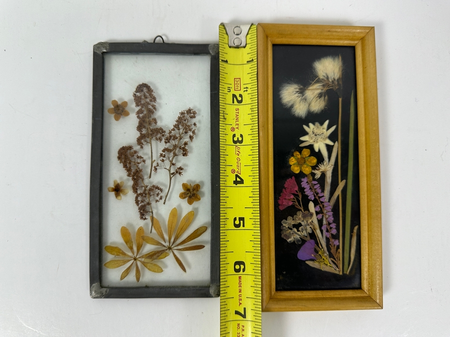 Just Added - Pair Of Framed Pressed Flower Arrangements Botanical Wall Artwork 6.5'H [Photo 7]