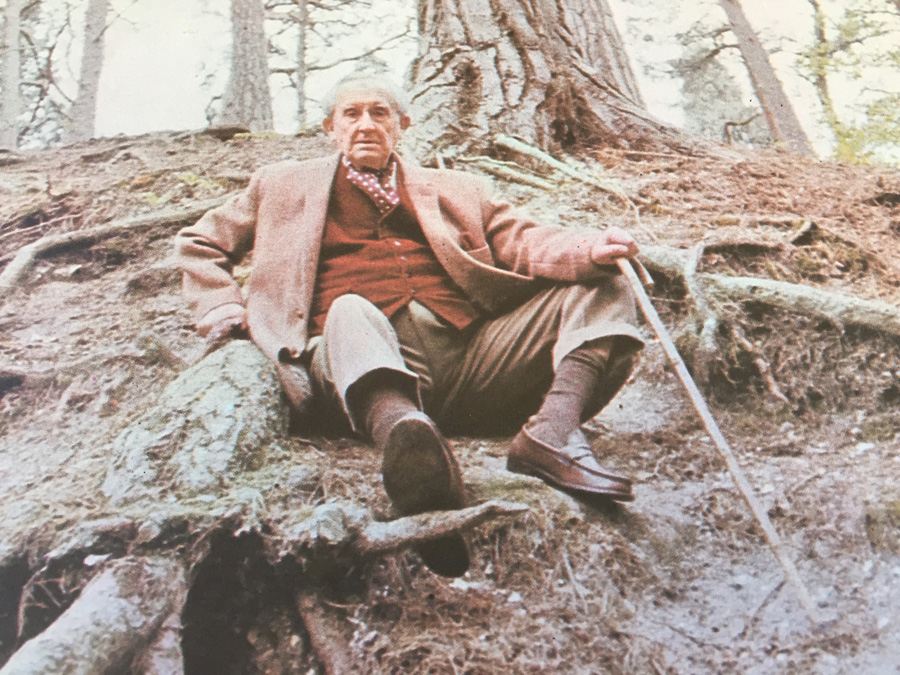 Bo Hansson ‎- Music Inspired By Lord Of The Rings - Charisma ‎- CAS 1059 [Photo 6]