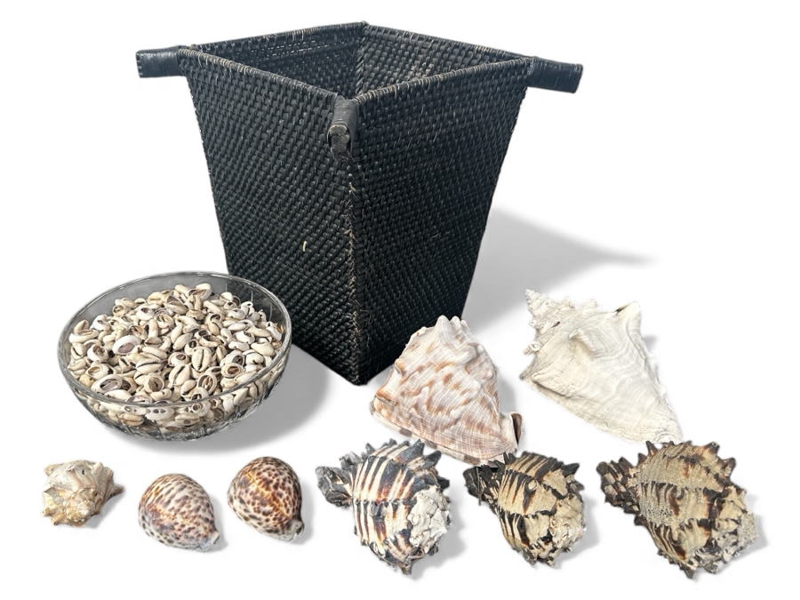 Just Added - Black Basket and Collection of Shells