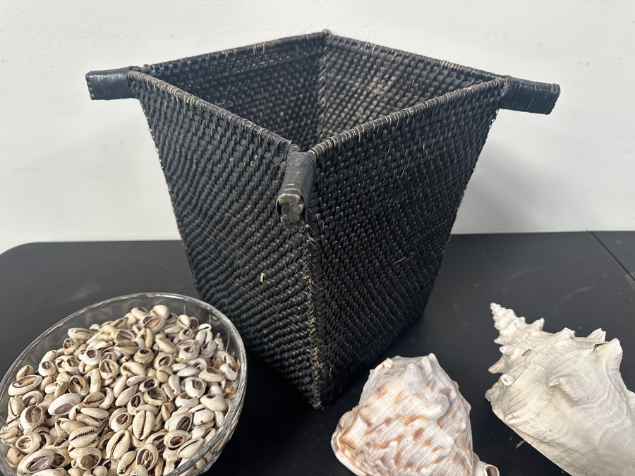 Just Added - Black Basket and Collection of Shells [Photo 7]