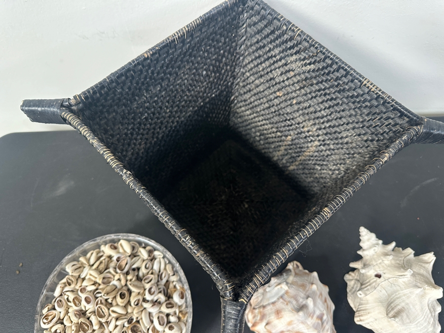 Just Added - Black Basket and Collection of Shells [Photo 8]