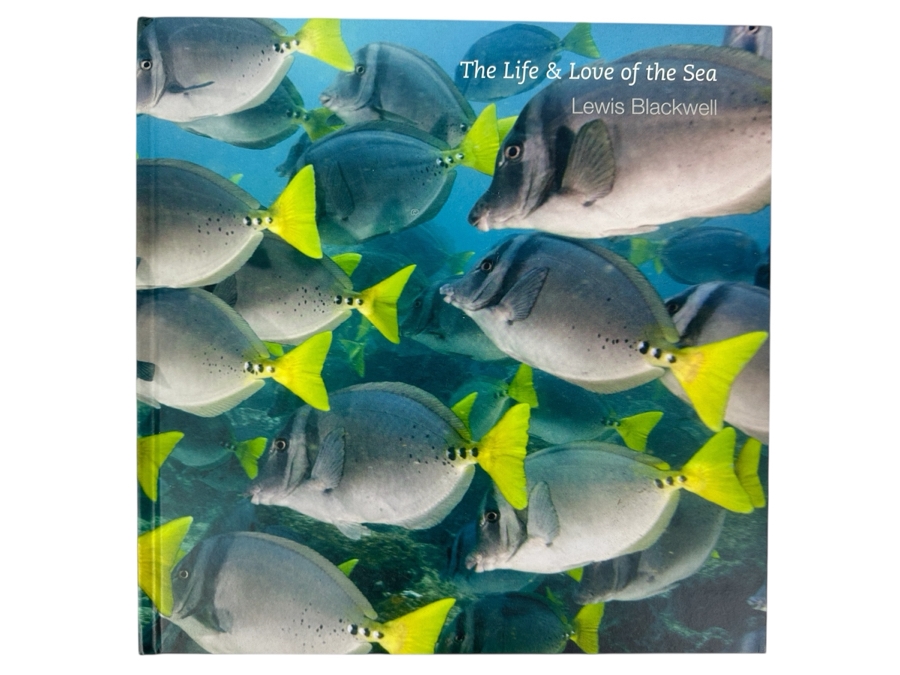 Just Added - The Life and Love of The Sea by Lewis Blackwell