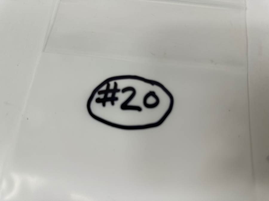 1879-S Brilliant Uncirculated Prooflike Morgan Dollar [Photo 6]