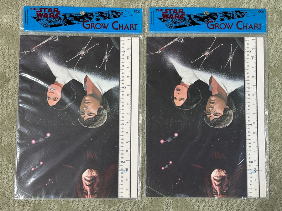 Pair Of Vintage 1978 New Star Wars Growth Charts [Photo 3]