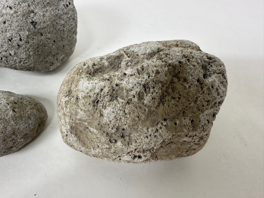 (4) Mount St. Helens Volcanic Rocks [Photo 4]