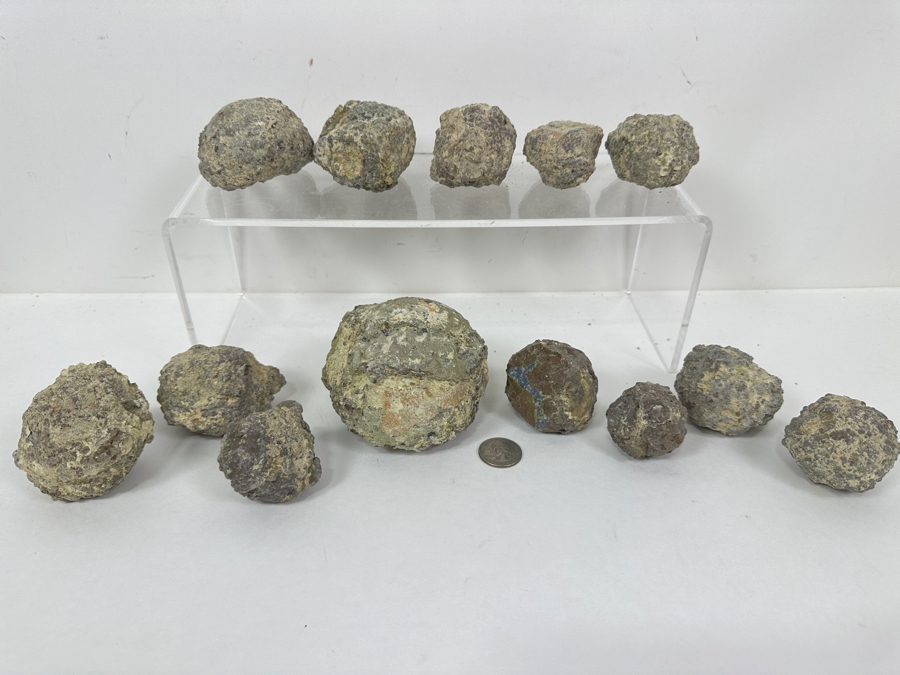 (13) Thundereggs Rock Geodes [Photo 3]