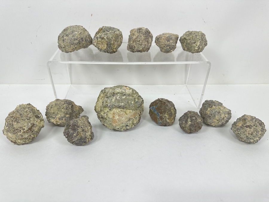 (13) Thundereggs Rock Geodes