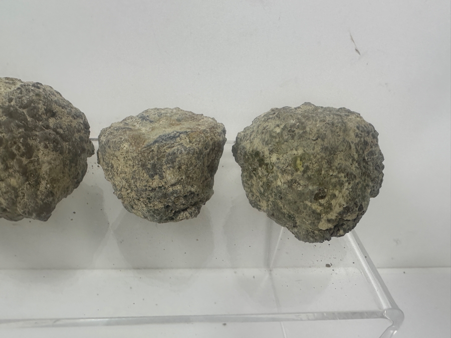 (13) Thundereggs Rock Geodes [Photo 8]
