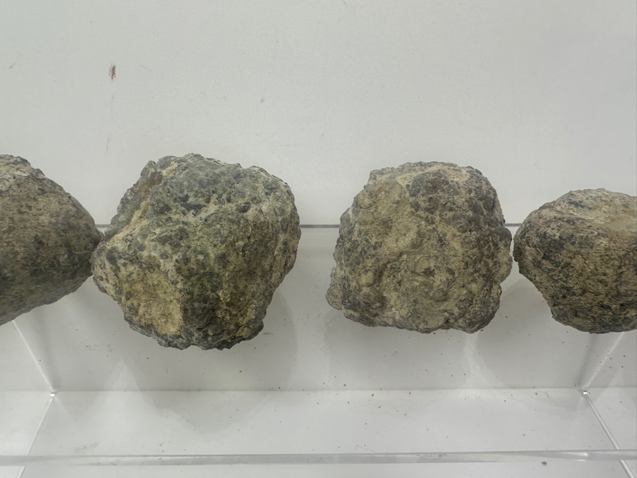 (13) Thundereggs Rock Geodes [Photo 9]