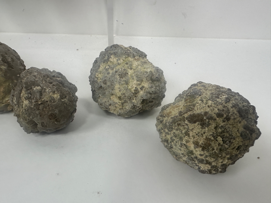 (13) Thundereggs Rock Geodes [Photo 7]