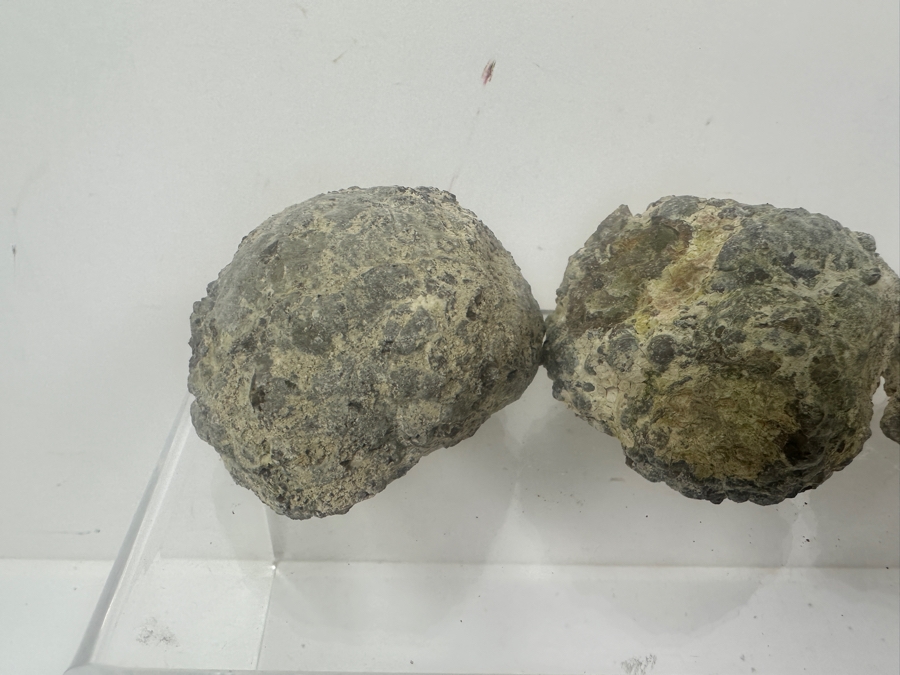 (13) Thundereggs Rock Geodes [Photo 10]