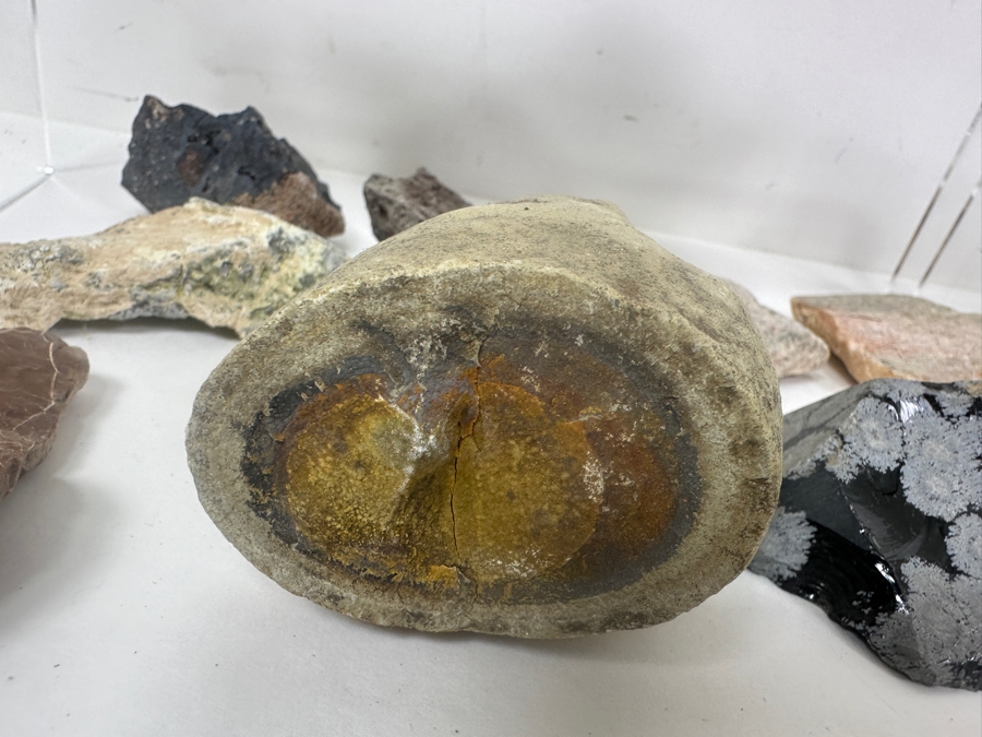 Collection Of Various Rocks [Photo 10]