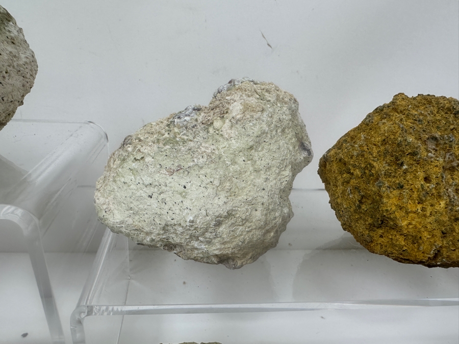 (13) Thundereggs Rock Geodes [Photo 5]