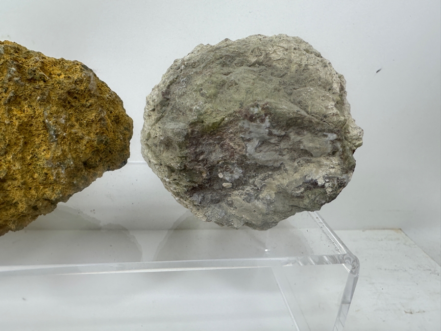 (13) Thundereggs Rock Geodes [Photo 7]